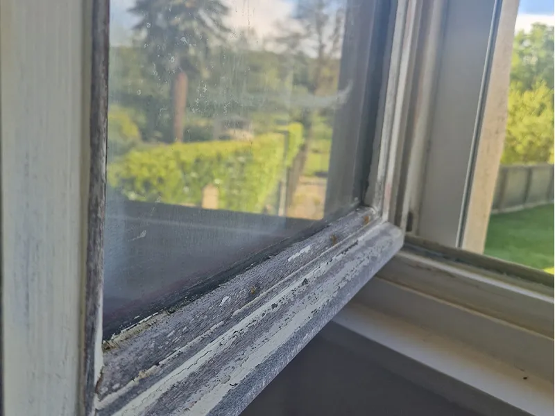 before-image